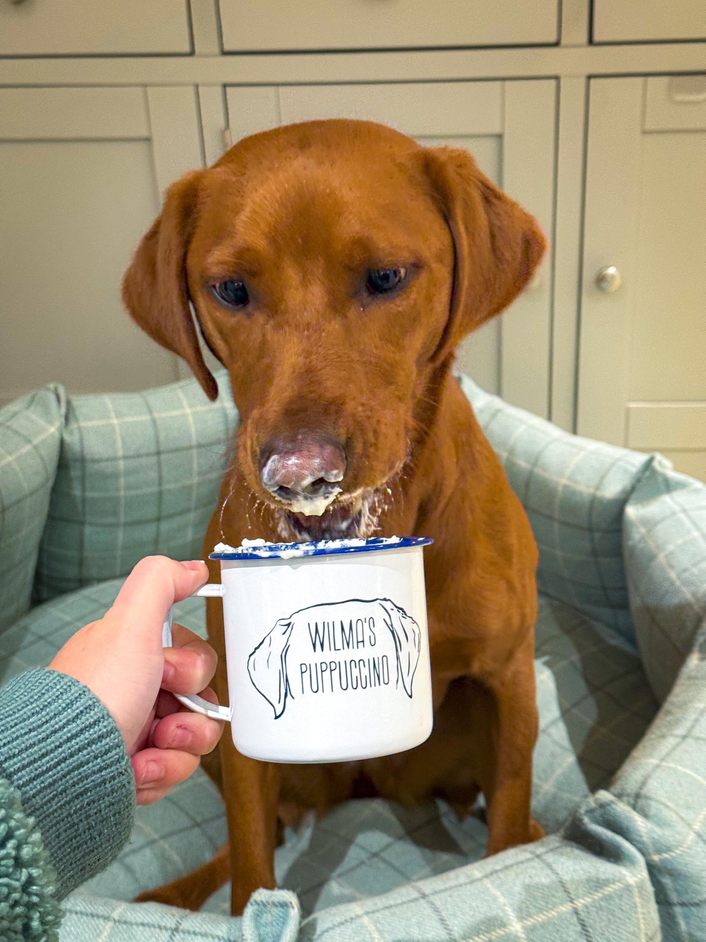 Personalised puppuccino enamel cup