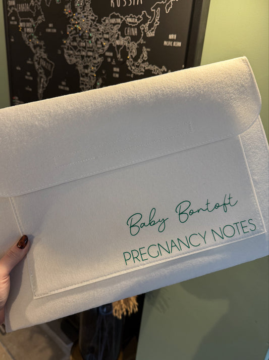 Felt Document / Laptop Wallet