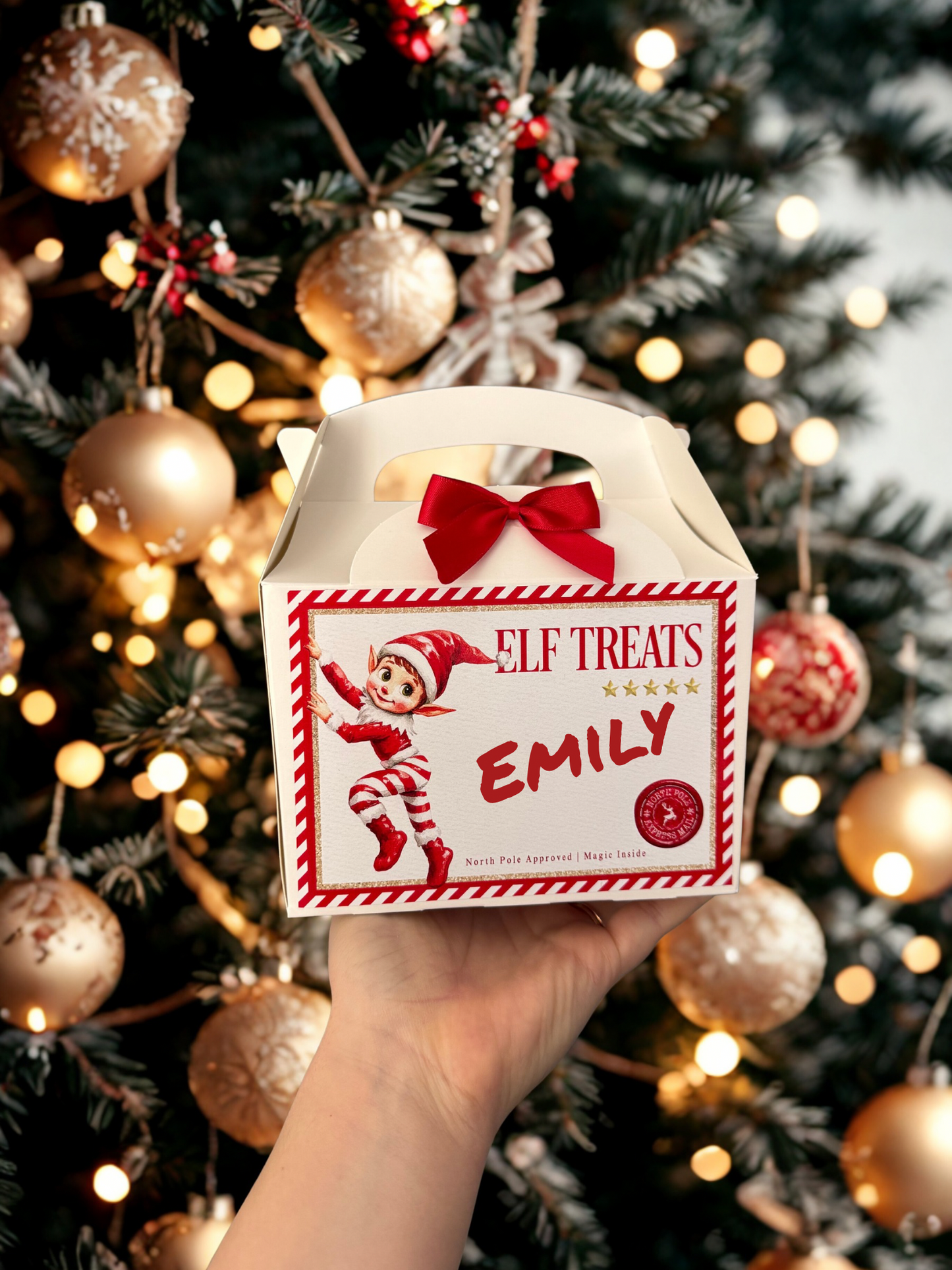Elf Treat Box