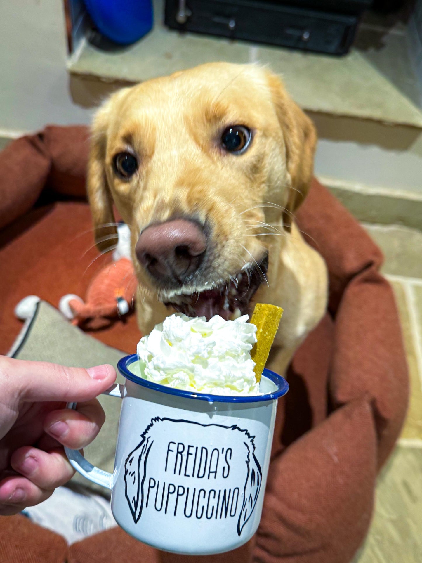 Personalised puppuccino enamel cup